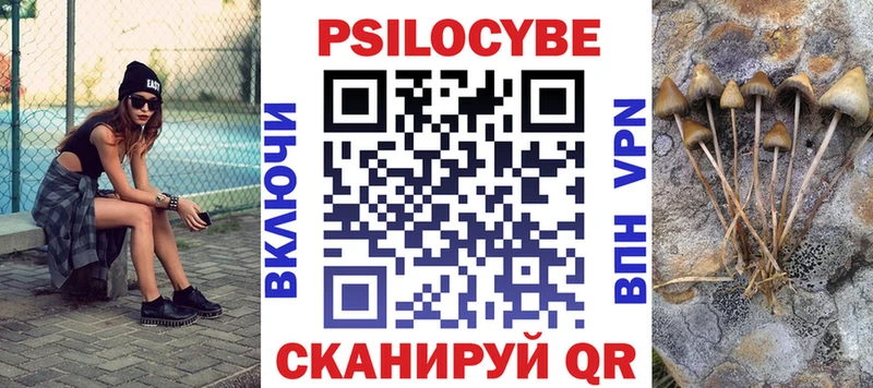 ОМГ ОМГ Железногорск-Илимский Псилоцибиновые грибы Psilocybe